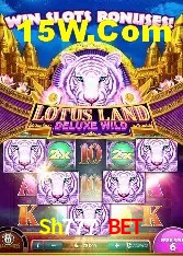 Avaliações dos Jogadores Sh777 Bet