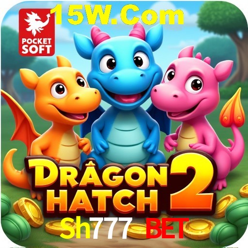 Sh777 Bet Rio de Janeiro - Bonus Terms